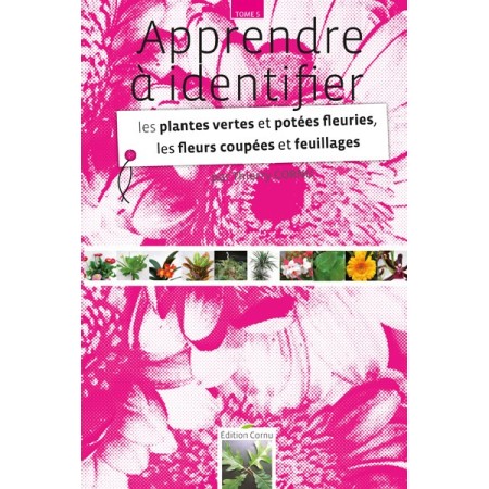 Apprendre à identifier les plantes vertes et potées fleuries, les fleurs coupées et feuillages