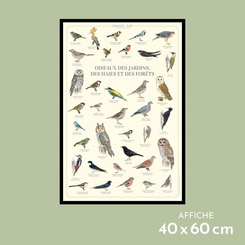 Oiseaux des jardins, des haies et des forêts