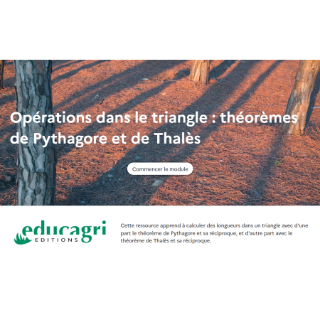 Opérations dans le triangle