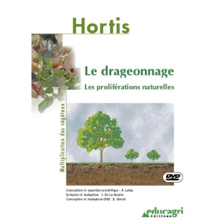 Le drageonnage