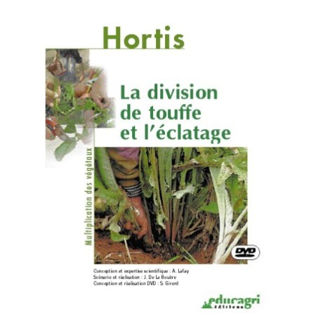 La division de touffe et l'éclatage