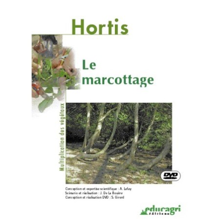 Le marcottage