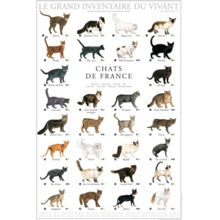 Chats de France