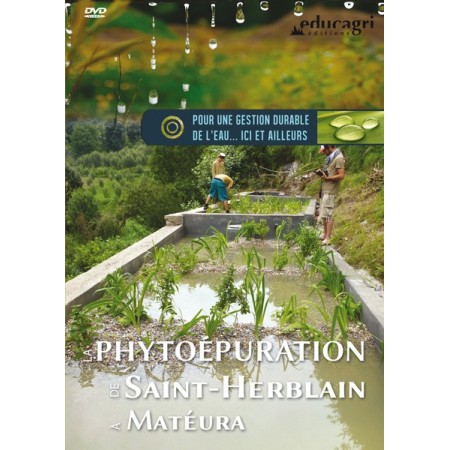 Phytoépuration de Saint-Herblain à Matéura