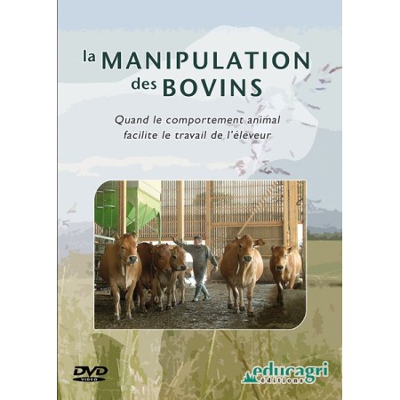 La manipulation des bovins