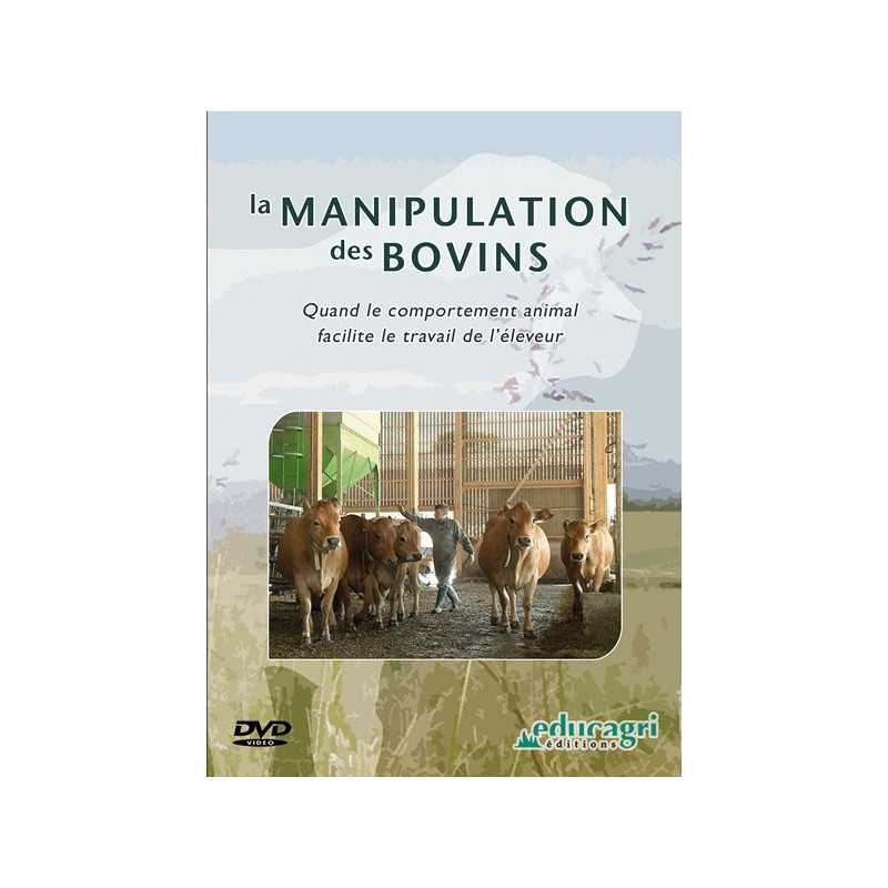La manipulation des bovins