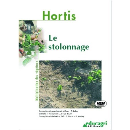Le stolonnage