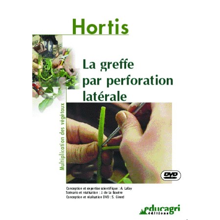 La greffe par perforation latérale