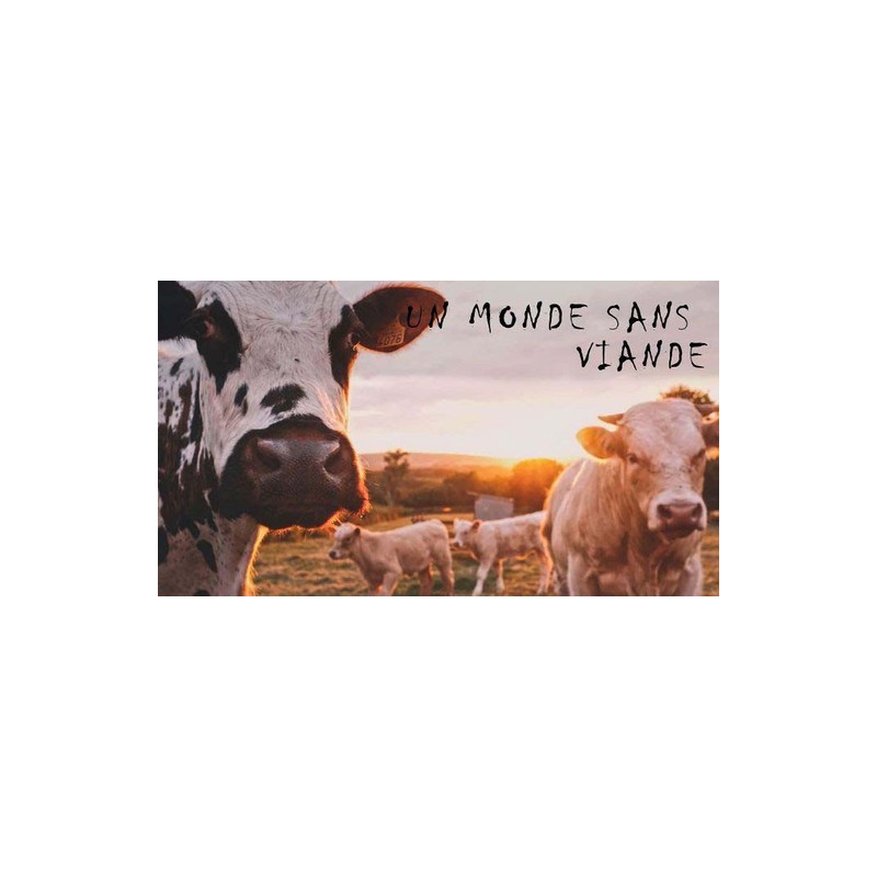 Un monde sans viande
