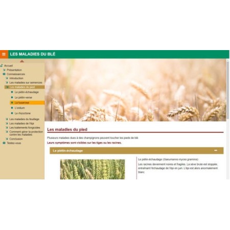 Les maladies fongiques