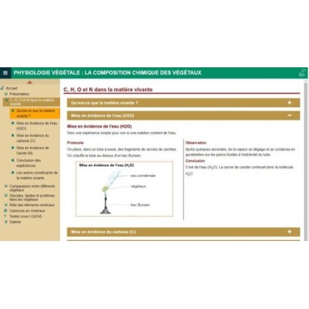 Physiologie végétale : la composition chimique des végétaux