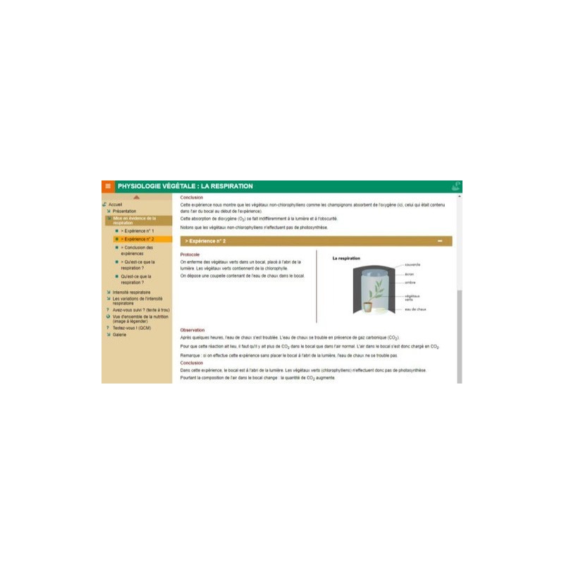 Physiologie végétale : la respiration