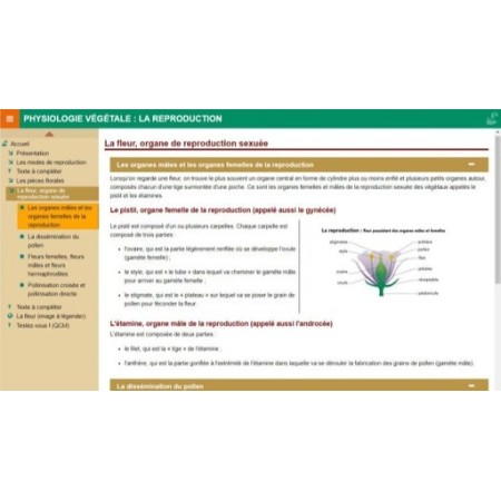 Physiologie végétale : la reproduction