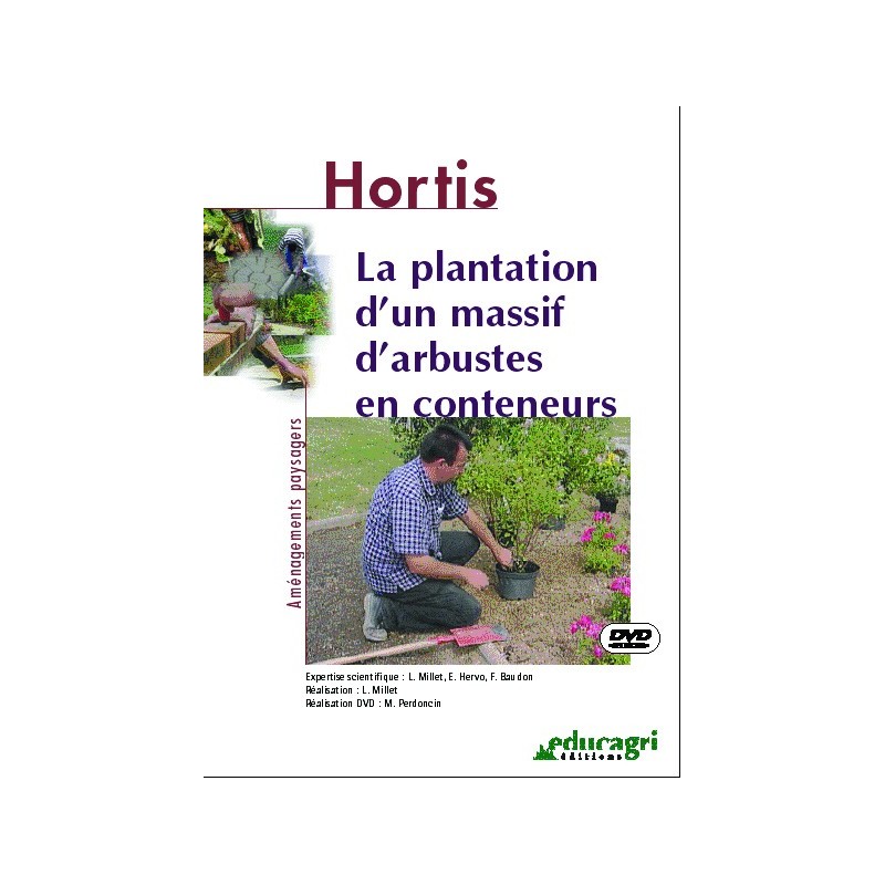 La plantation d'un massif d'arbustes en conteneurs