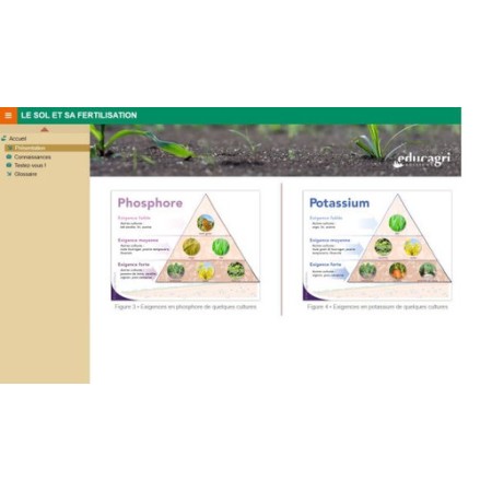 La structure dans tous ses états