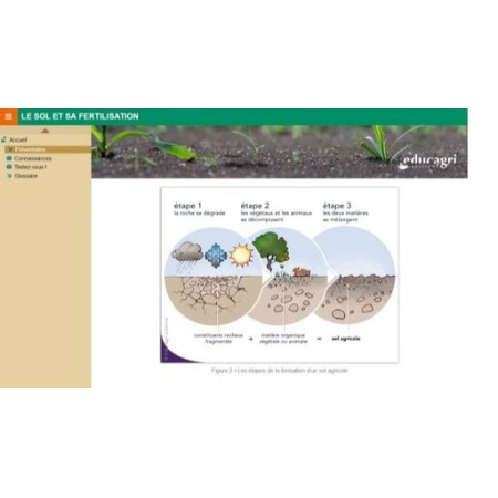 Les amendements calcomagnésiens