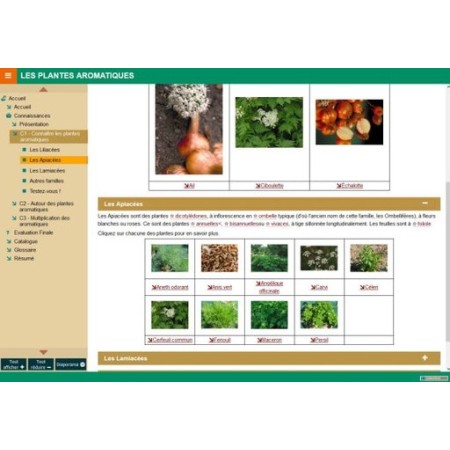 Les plantes aromatiques