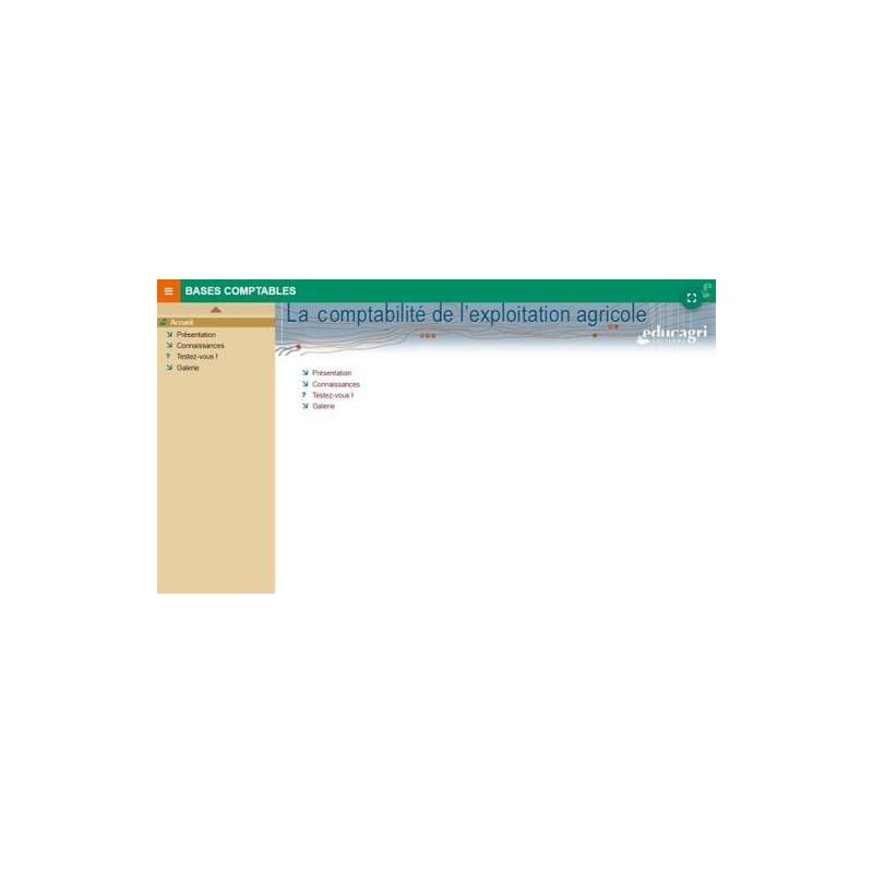 Bases comptables : les étapes chronologiques