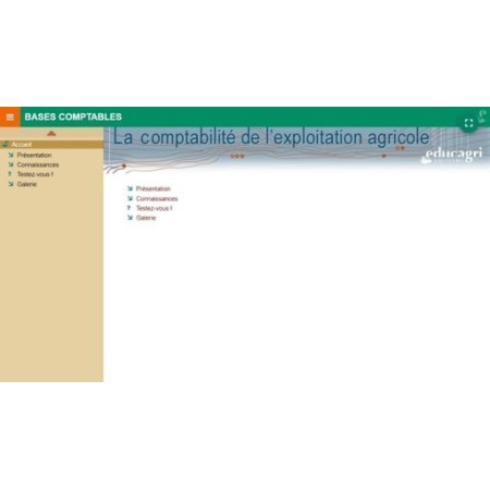 Bases comptables : le plan comptable