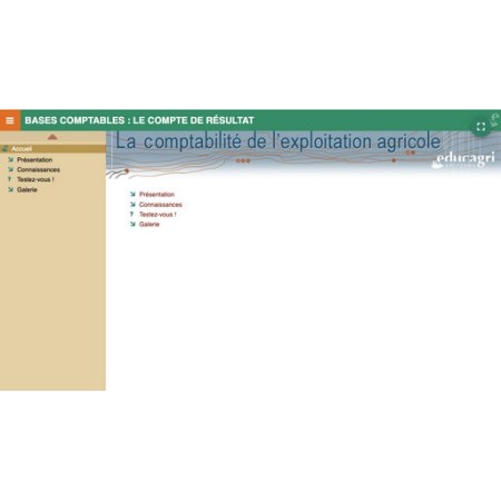 Bases comptables : le compte de résultat
