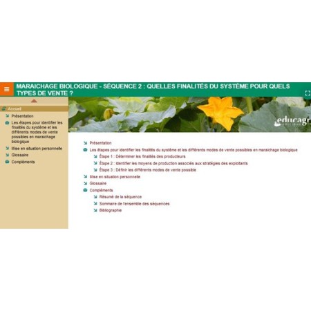 Maraichage biologique : quelles finalités du système pour quels types de vente ?