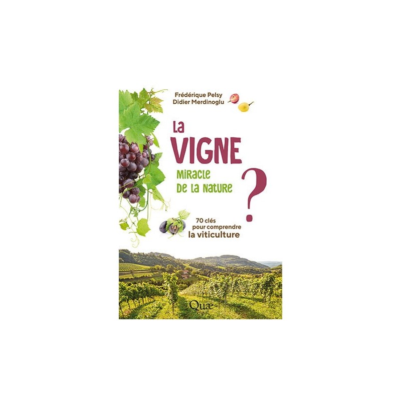 La vigne, miracle de la nature ?
