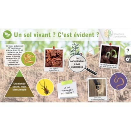 Le sol vivant, c'est évident ?