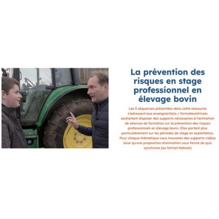 La prévention des risques en stage professionnel en élevage bovin