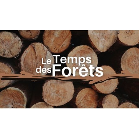 Le temps des forêts