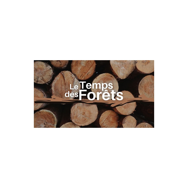 Le temps des forêts