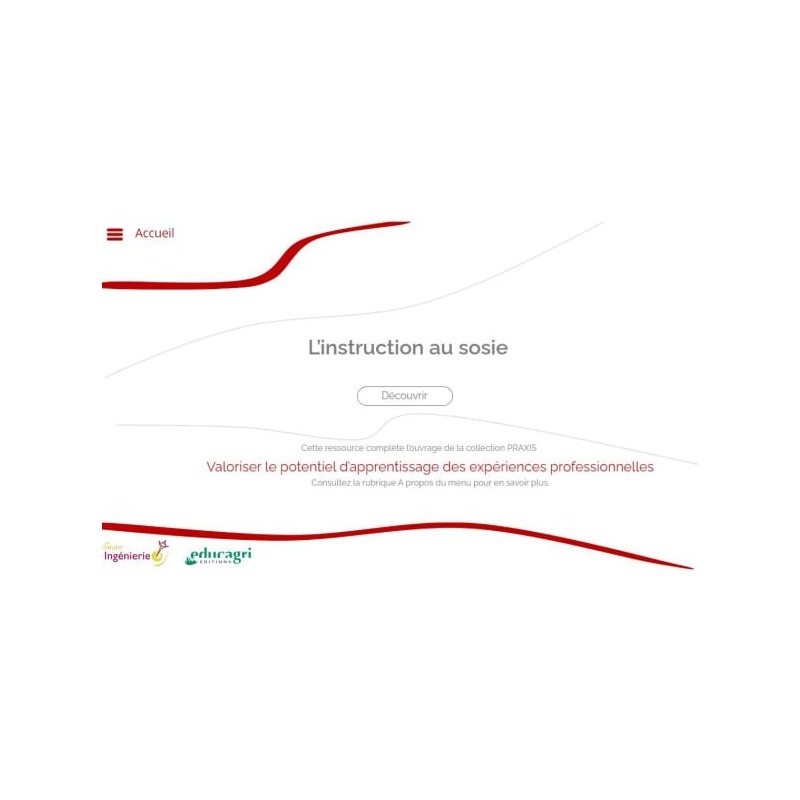 L'instruction au sosie