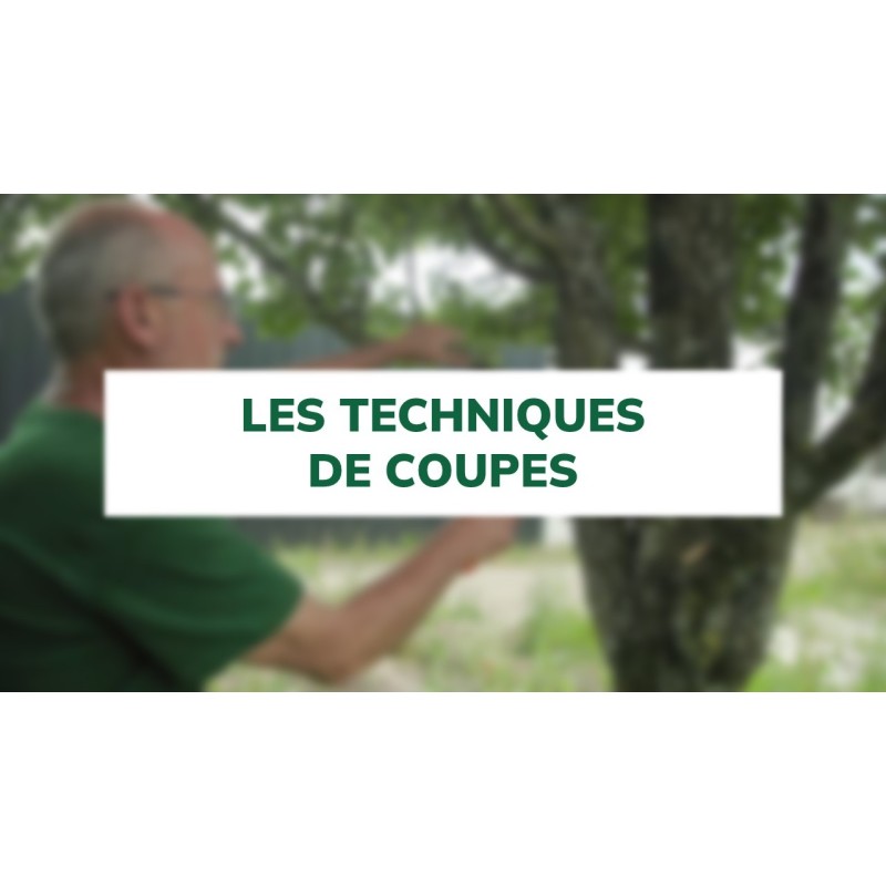 Les techniques de coupes