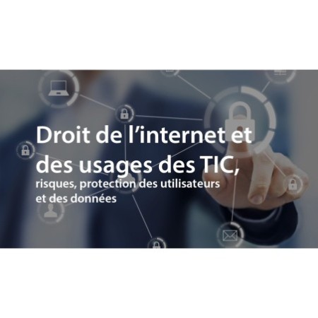 Droit de l'internet et des usages des TICS