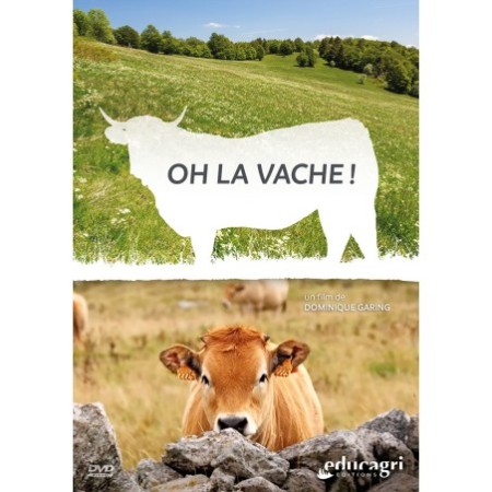 Oh la vache !