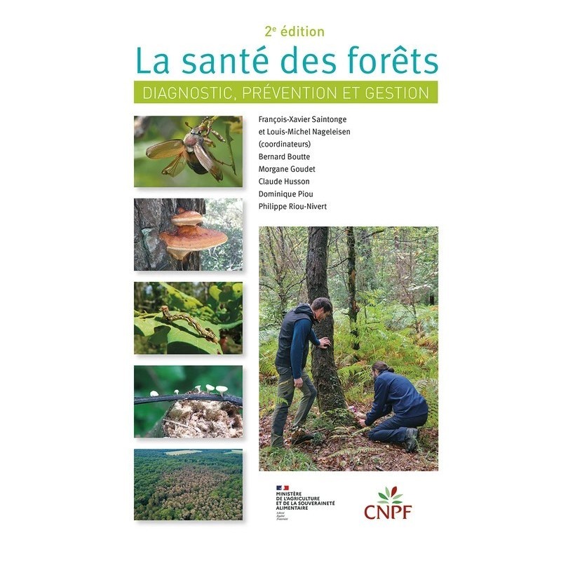 La santé des forêts