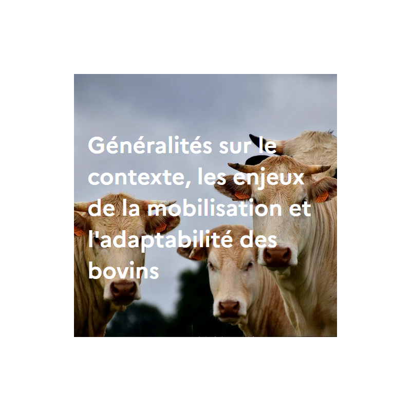 Généralités sur les bovins : contexte, enjeux et spécificités