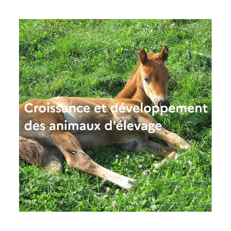 Croissance et développement des animaux d'élevage