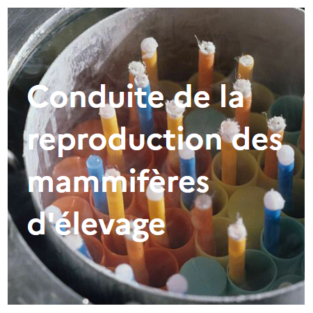 Conduite de la reproduction des mammifères d'élevage